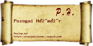Pozsgai Hümér névjegykártya